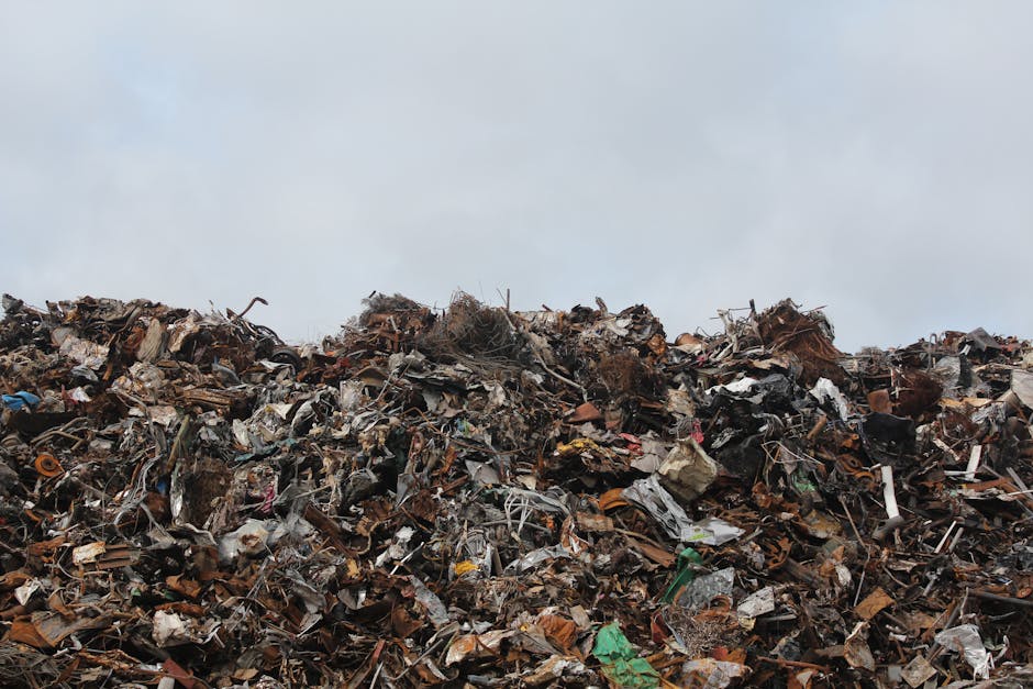 Avoid fines in Highgate for illegal rubbish dumping what to know
