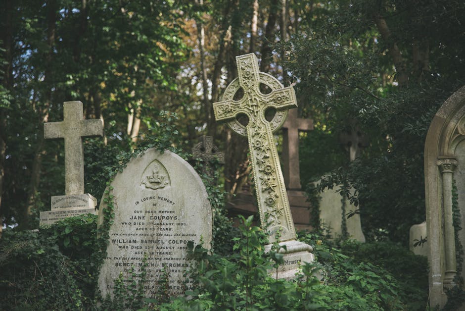 Highgate Cemetery rubbish removal guide for N6 homes